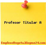 Profesor Titular A