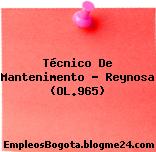 Técnico De Mantenimento – Reynosa (OL.965)