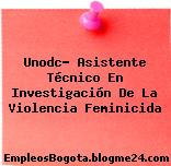 Unodc- Asistente Técnico En Investigación De La Violencia Feminicida