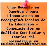 Urge Docente en Querétaro para Licenciatura en Pedagogía/Ciencias de la Educación – Conocimientos en Análisis Curricular y Teorías del aprendizaje en