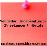 Vendedor Independiente (Freelancer) Mérida