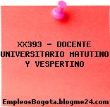 XX393 – DOCENTE UNIVERSITARIO MATUTINO Y VESPERTINO