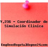 Y.236 – Coordinador de Simulación Clinica