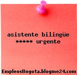 asistente bilingüe ***** urgente