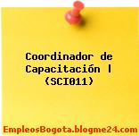 Coordinador de Capacitación | (SCI011)