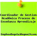 Coordinador de Gestion Académica Proceso de Enseñanza Aprendizaje