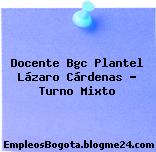 Docente Bgc Plantel Lázaro Cárdenas – Turno Mixto