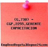 (G.730) – CGP.2255.GERENTE CAPACITACION