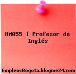 HM055 | Profesor de Inglés