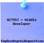 HZ755] – Middle Developer