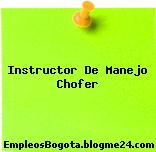 Instructor De Manejo Chofer