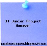 IT Junior Project Manager