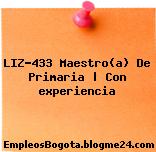 LIZ-433 Maestro(a) De Primaria | Con experiencia