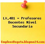 LX.481 – Profesores Docentes Nivel Secundaria