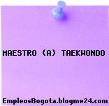 MAESTRO (A) TAEKWONDO