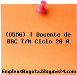 (O556) | Docente de BGC T/M Ciclo 20 A