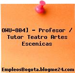 OWU-804] – Profesor / Tutor Teatro Artes Escenicas