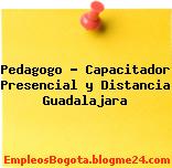 Pedagogo – Capacitador Presencial y Distancia Guadalajara
