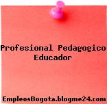 Profesional Pedagogico – Educador
