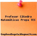 Profesor Cátedra Matemáticas Prepa TEC