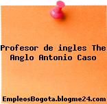 Profesor de ingles The Anglo Antonio Caso