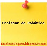 Profesor de Robótica
