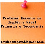 Profesor Docente de Inglés a Nivel Primaria y Secundaria