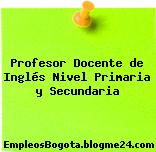 Profesor Docente de Inglés Nivel Primaria y Secundaria