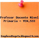 Profesor Docente Nivel Primaria – YEW.533