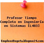 Profesor Tiempo Completo en Ingeniería en Sistemas [L483]