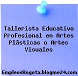 Tallerista Educativo Profesional en Artes Plásticas o Artes Visuales