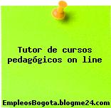 Tutor de cursos pedagógicos on line