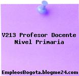 V213 Profesor Docente Nivel Primaria