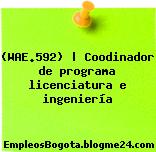 (WAE.592) | Coodinador de programa licenciatura e ingeniería
