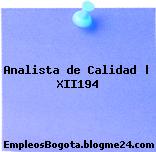 Analista de Calidad | XII194