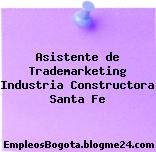 Asistente de Trademarketing Industria Constructora Santa Fe