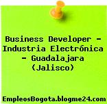 Business Developer – Industria Electrónica – Guadalajara (Jalisco)