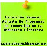 Dirección General Adjunta De Programas De Inversión De La Industria Eléctrica