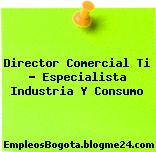 Director Comercial Ti – Especialista Industria Y Consumo