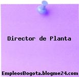 Director de Planta
