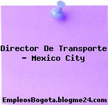 Director De Transporte – Mexico City