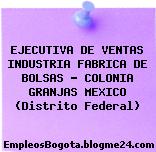 EJECUTIVA DE VENTAS INDUSTRIA FABRICA DE BOLSAS – COLONIA GRANJAS MEXICO (Distrito Federal)