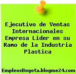 Ejecutivo de Ventas Internacionales Empresa Lider en su Ramo de la Industria Plastica