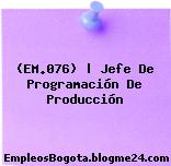 (EM.076) | Jefe De Programación De Producción