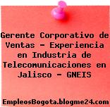 Gerente Corporativo de Ventas – Experiencia en Industria de Telecomunicaciones en Jalisco – GNEIS