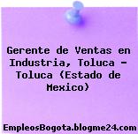 Gerente de Ventas en Industria, Toluca – Toluca (Estado de Mexico)