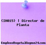 (IH015) | Director de Planta