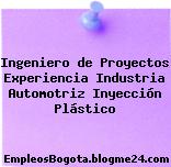 Ingeniero de Proyectos Experiencia Industria Automotriz Inyección Plástico