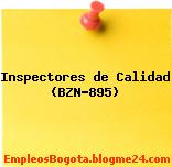 Inspectores de Calidad (BZN-895)