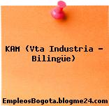 KAM (Vta Industria – Bilingüe)